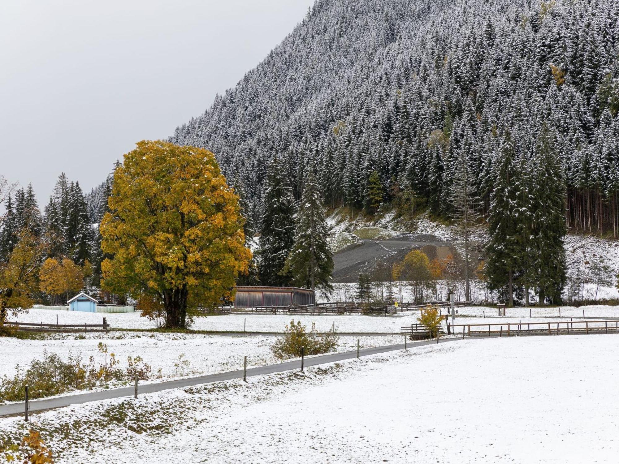 Chalet Apartment In Saalbach Hinterglemm Bagian luar foto
